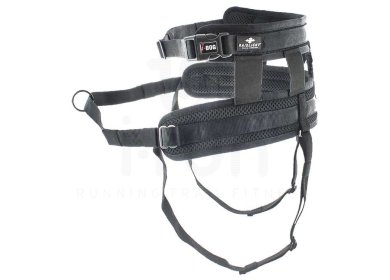 Raidlight Baudrier i-Dog