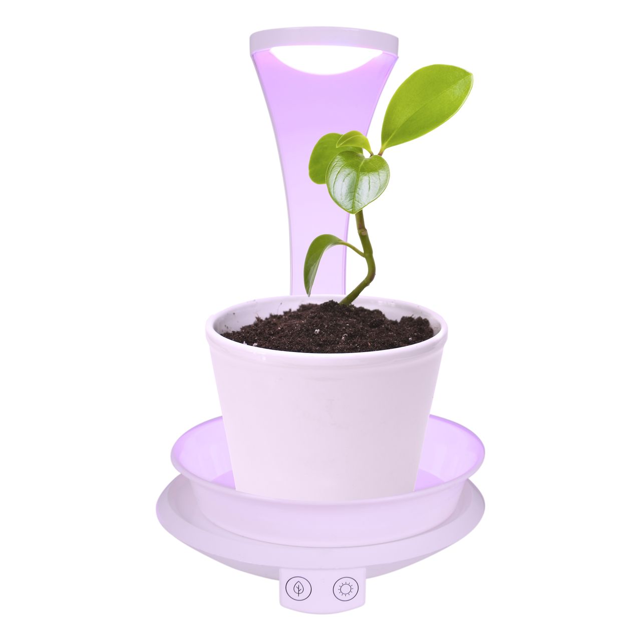Näve Leuchten LED Pflanzen-Tischleuchte h:24cm