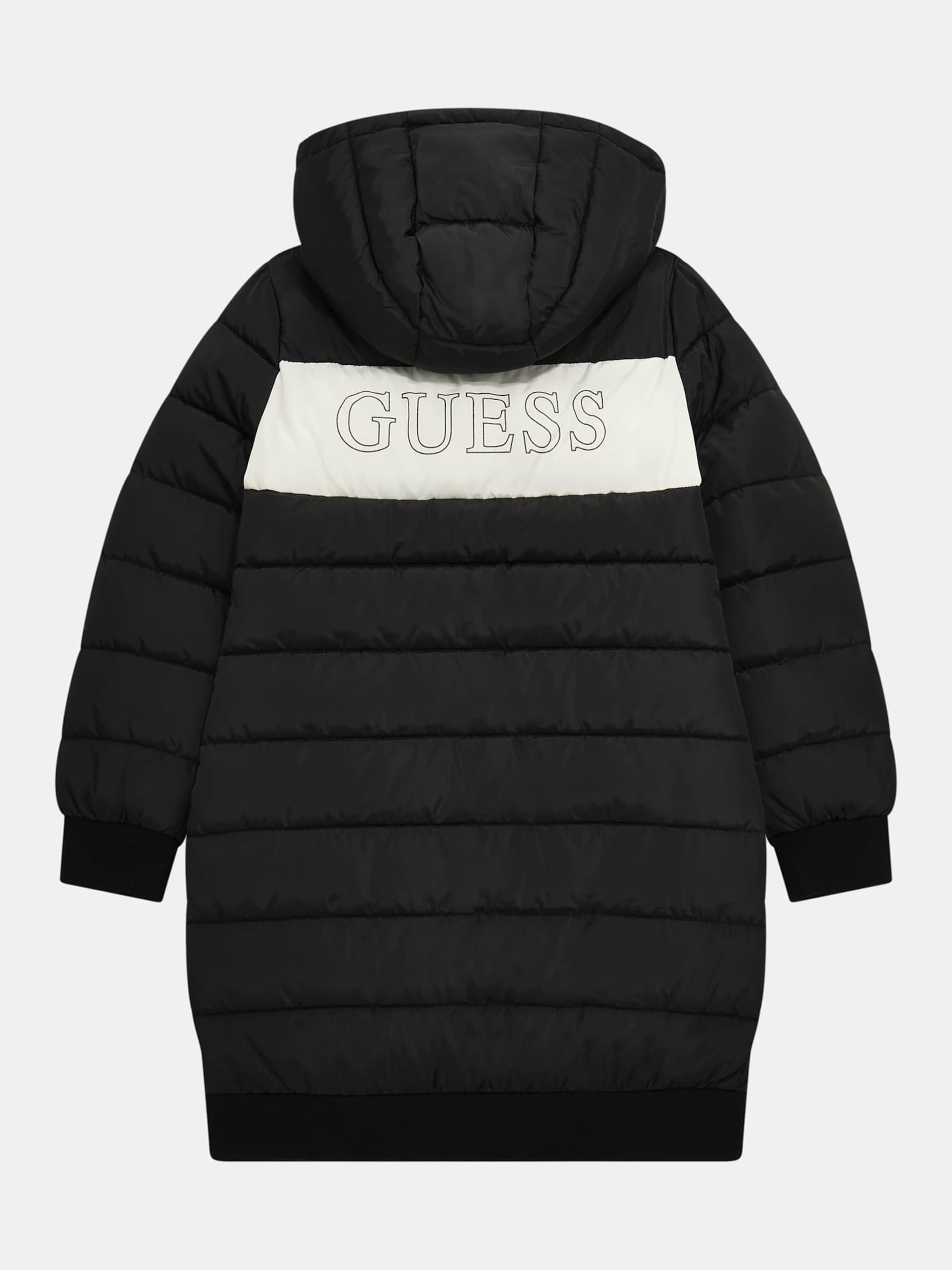 Winter Jacket