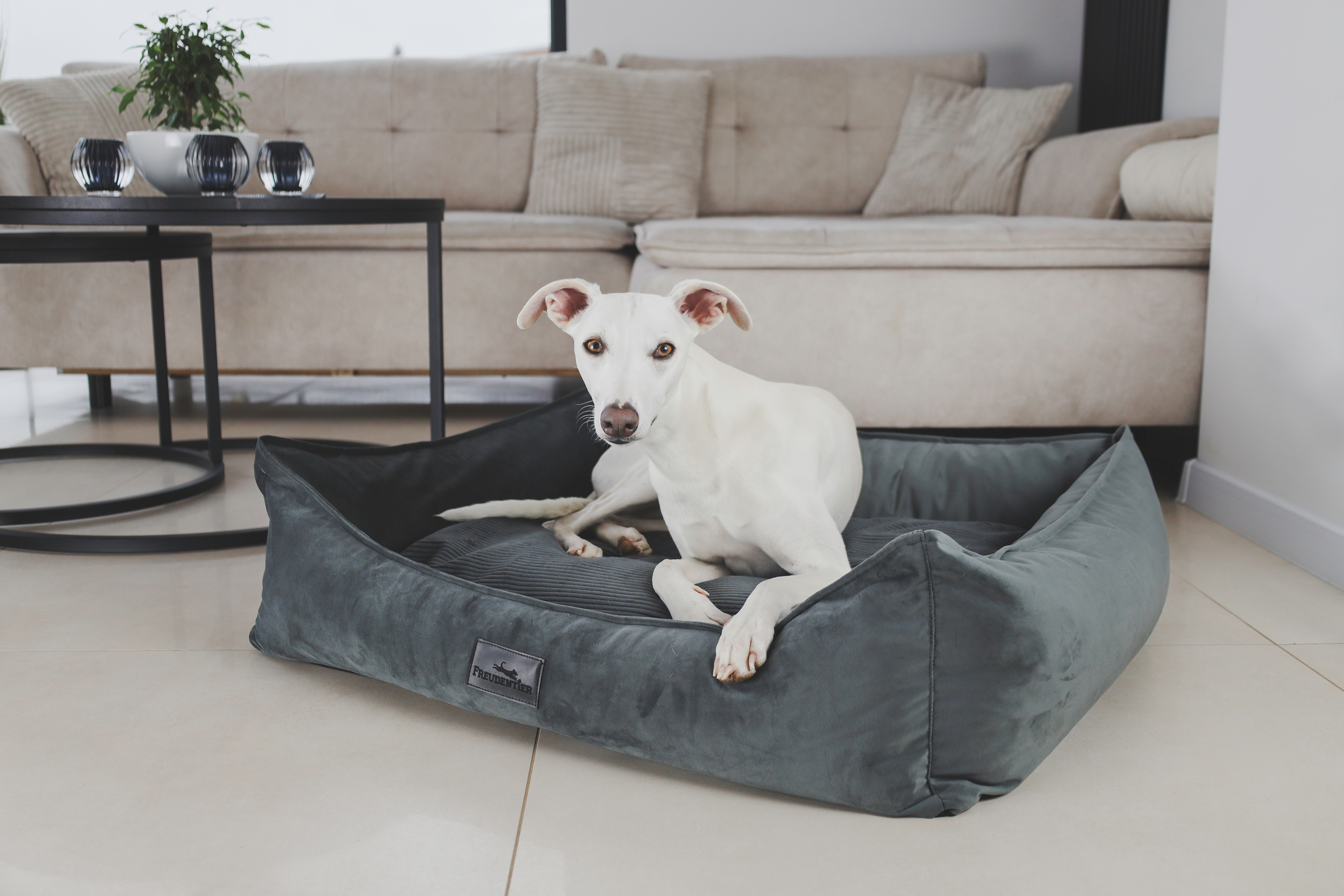 Freudentier Hundebetten Freudentier orthopädisches Hundebett mit Cord/Velour Wendekissen anthrazit M