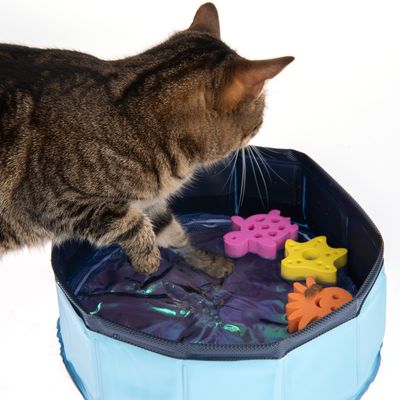 Kitty Pool mit schwimmfähigem Spielzeug
