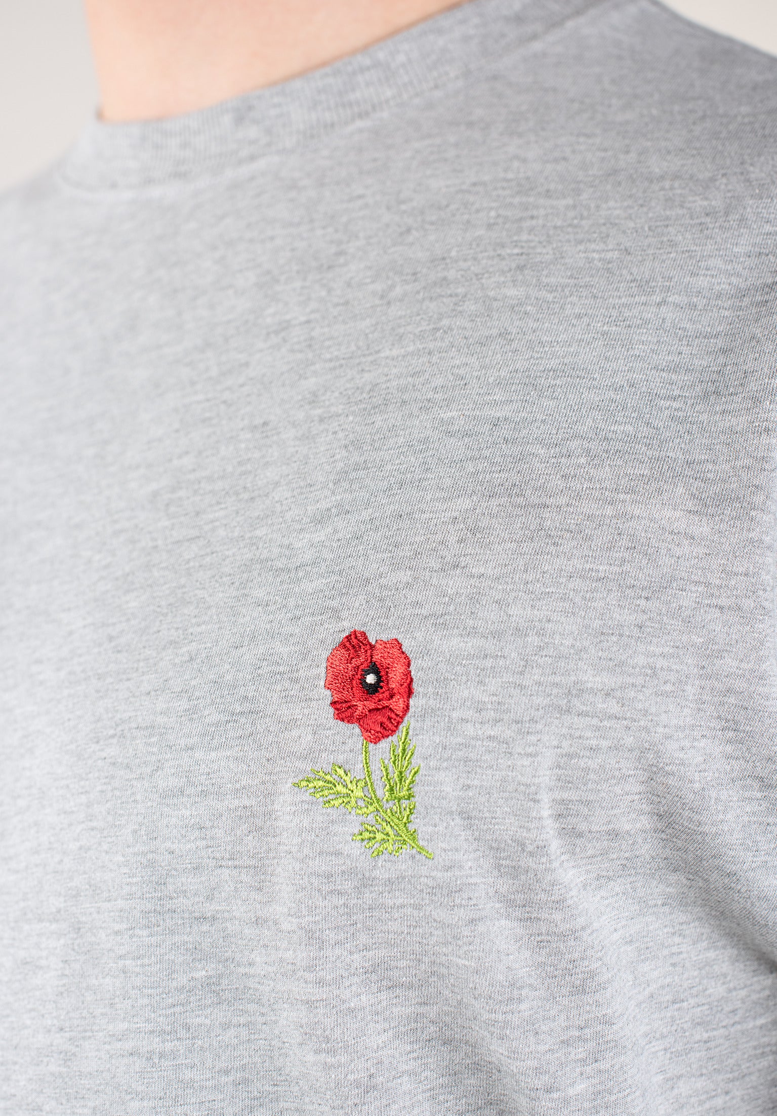 Papaver