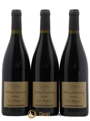 Saumur-Champigny Les Poyeux Antoine Sanzay  2014 - Lot de 3 Bouteilles