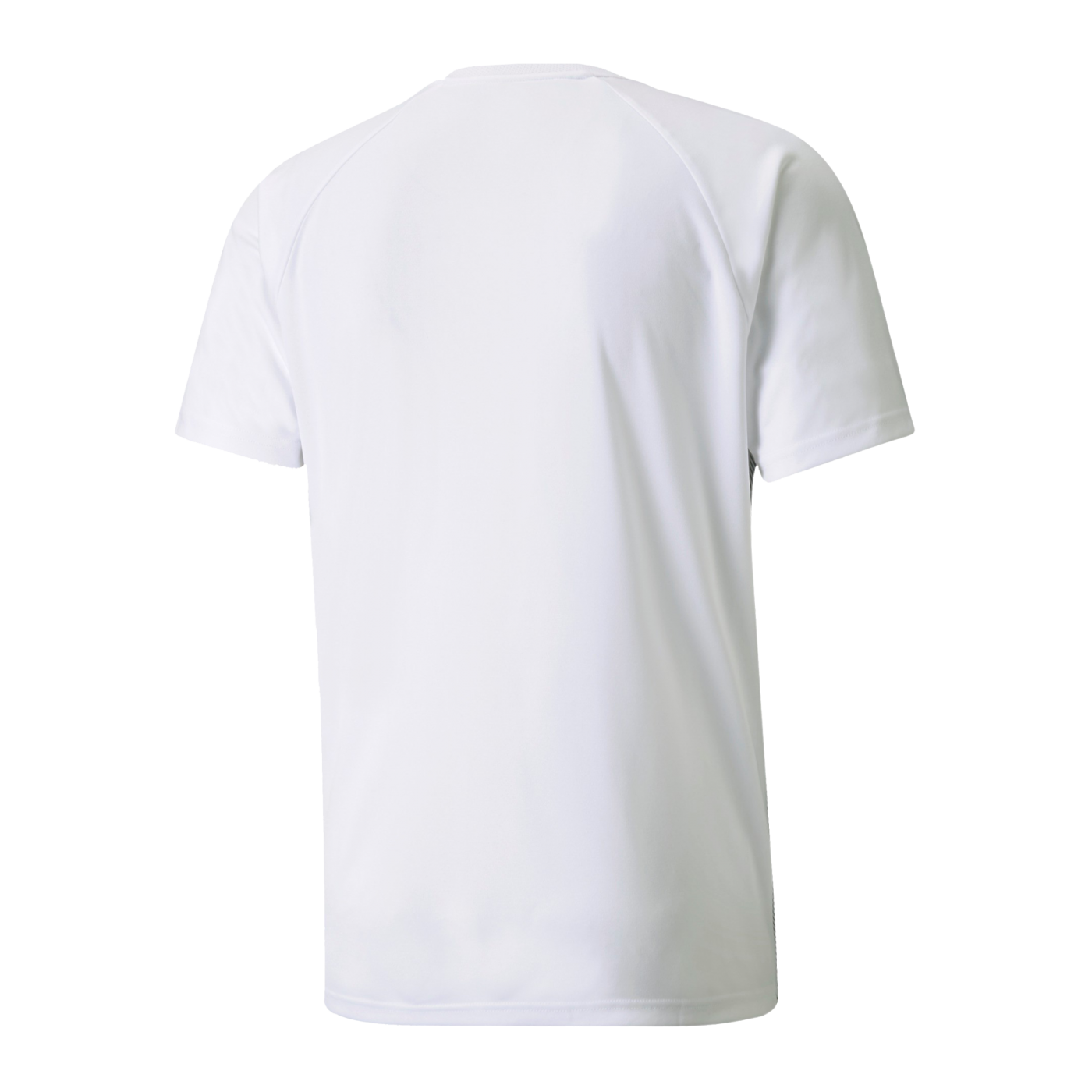 PUMA teamLIGA Striped Trikot Weiss Schwarz F04