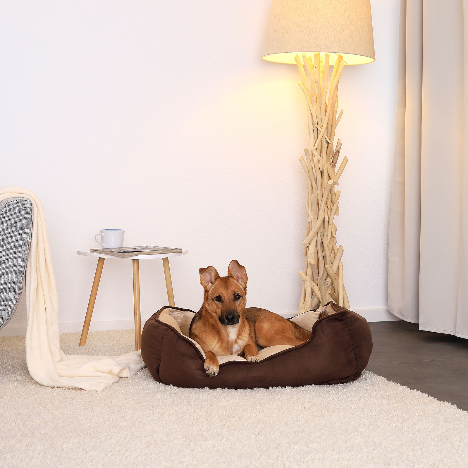 Lionto Hundebetten Lionto 2-in-1 Hundebett Hundekissen M