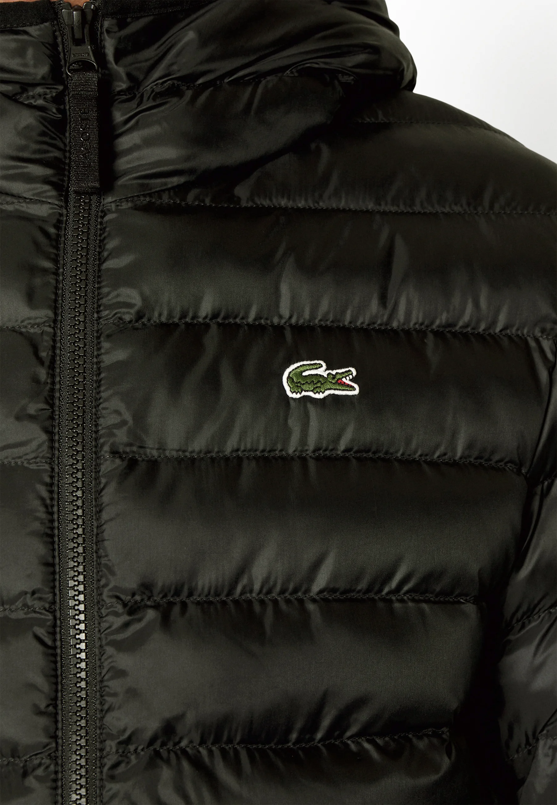 Chaqueta de exterior Lacoste