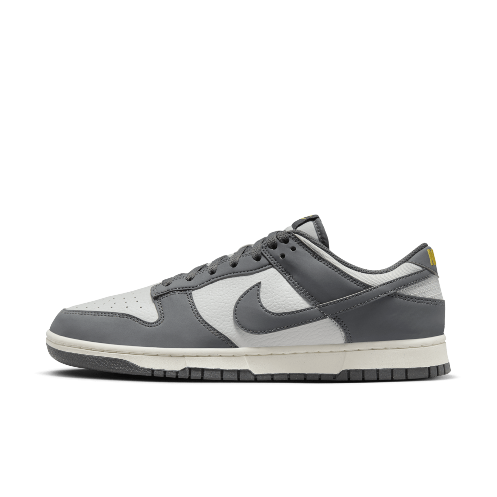 Nike Dunk Low Next Nature FZ4621-001 / grau