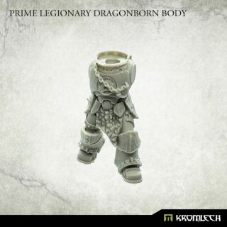 Prime Legionary Dragonborn Bodies (5)