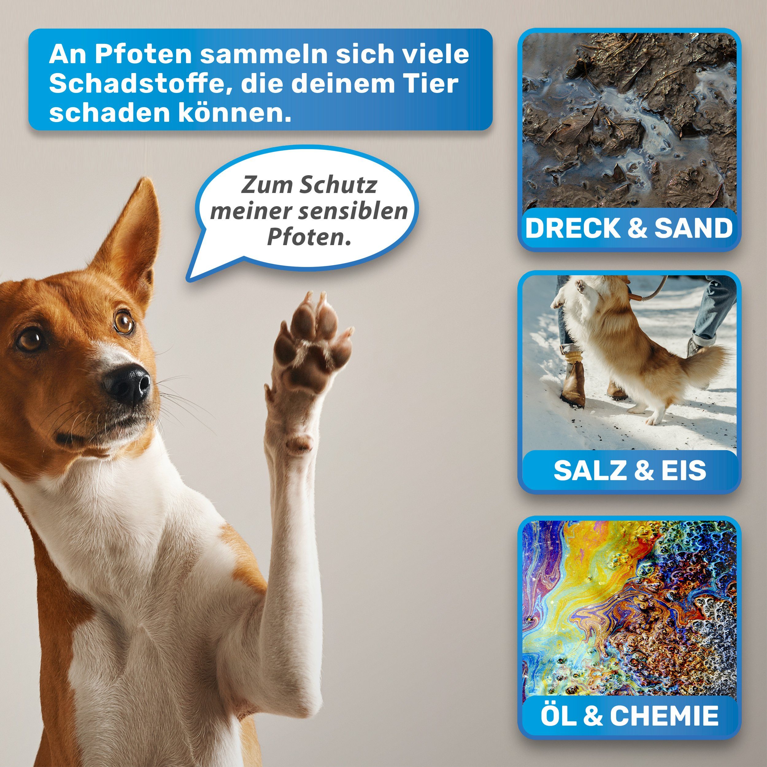 BluePet Pfotenpflege 