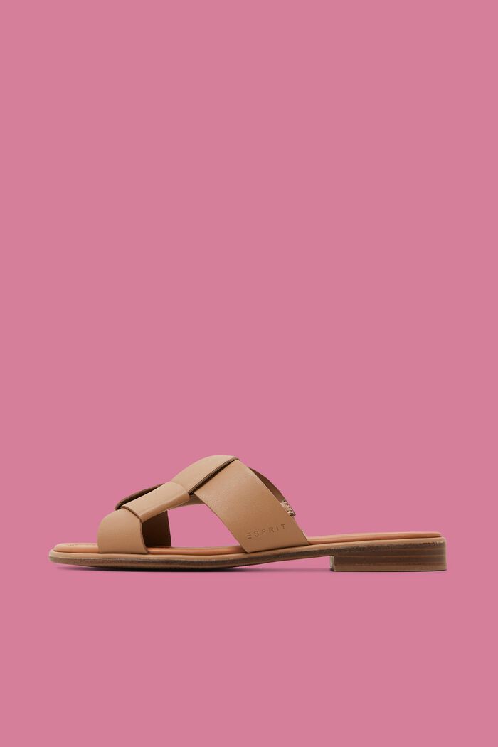 Slides