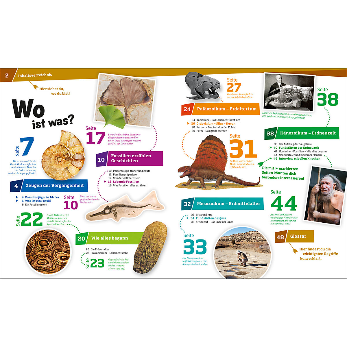 Was ist Was: Fossilien - Spuren des Lebens