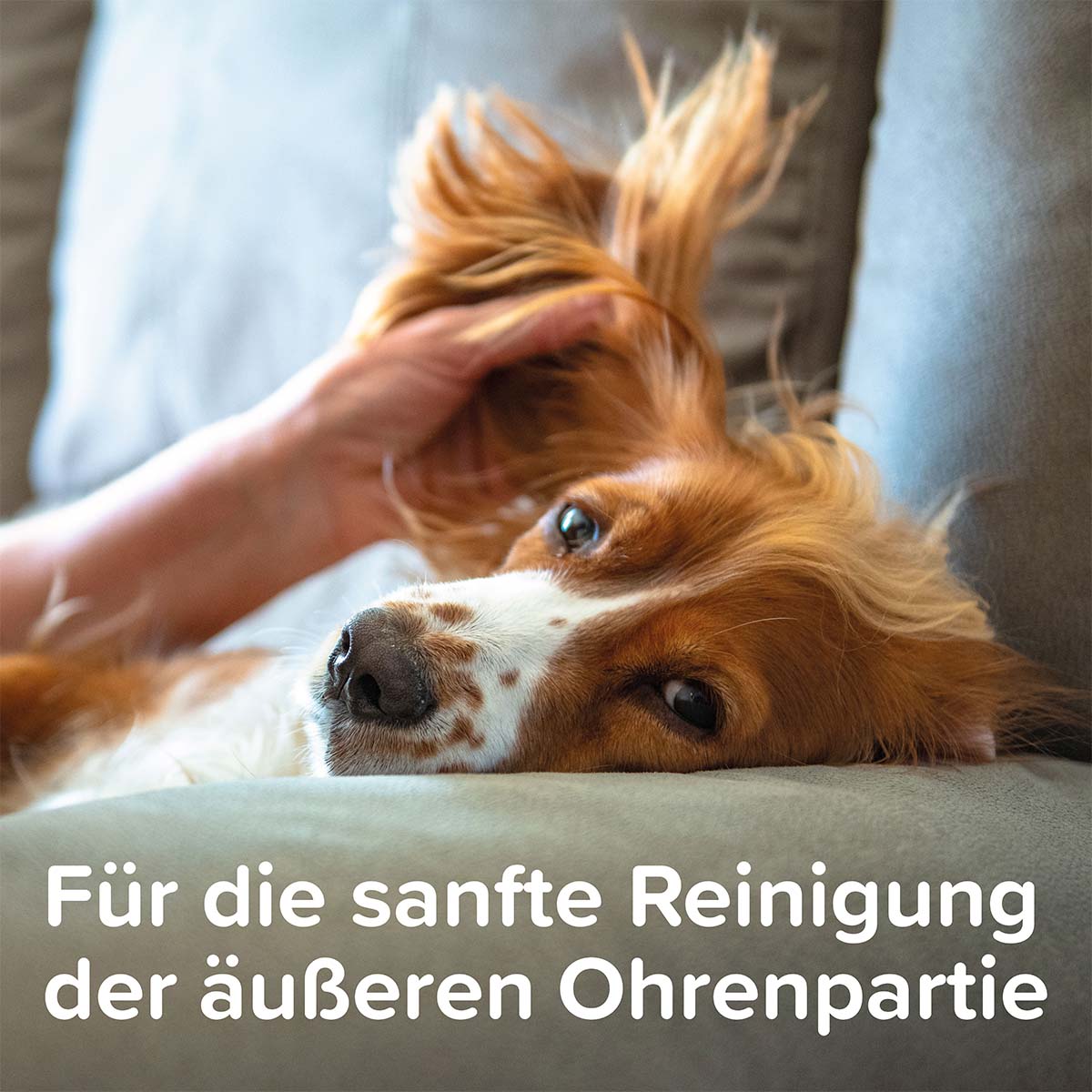 beaphar Sensitiv Ohrenreiniger 50ml günstig kaufen