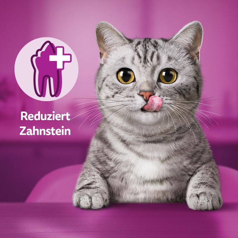 Whiskas Dentabites Huhn zu TOP-Preisen