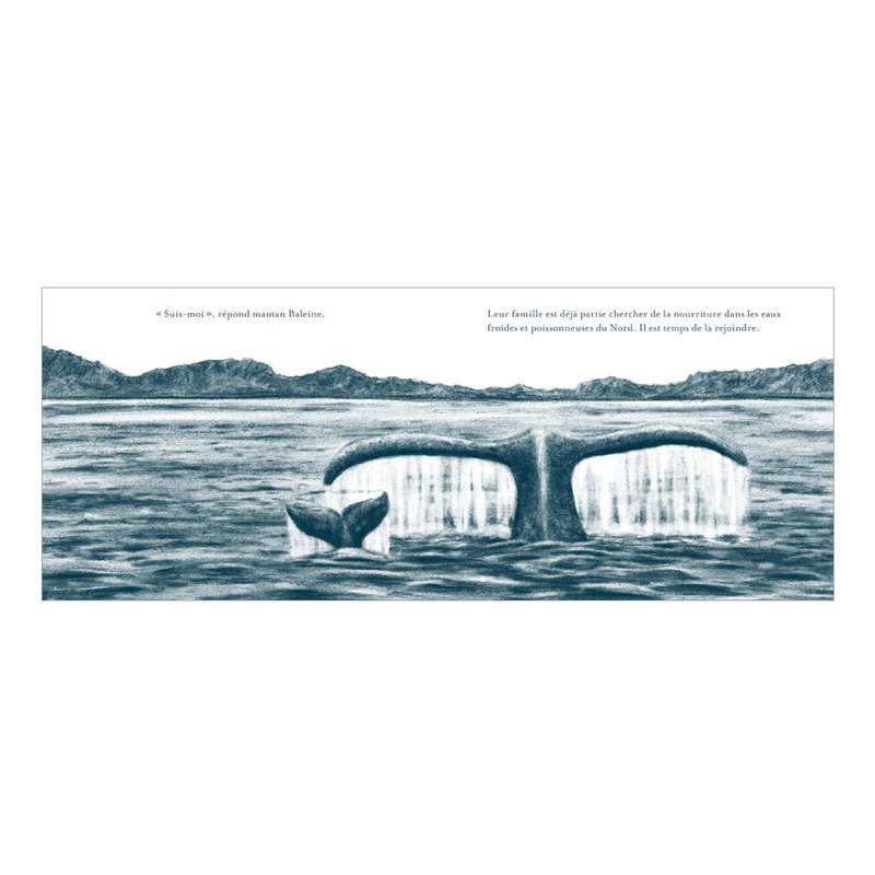 Livre Petite baleine - L'école des loisirs