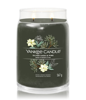 Yankee Candle Siver Sage & Pine Signature Jar Duftkerze-368 g