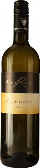 2022 Muskateller trocken Bio - Weingut Rieger