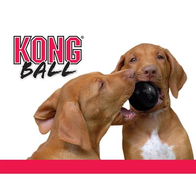 KONG Extreme Ball