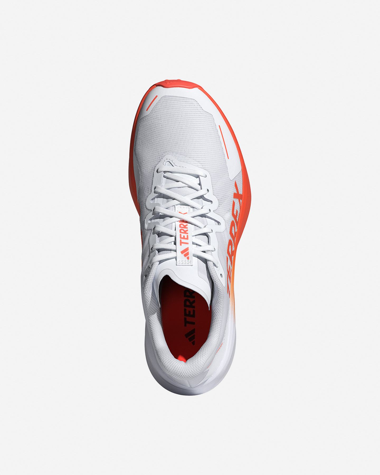 Scarpe Trail Adidas Terrex Agravic 3 M JI0951