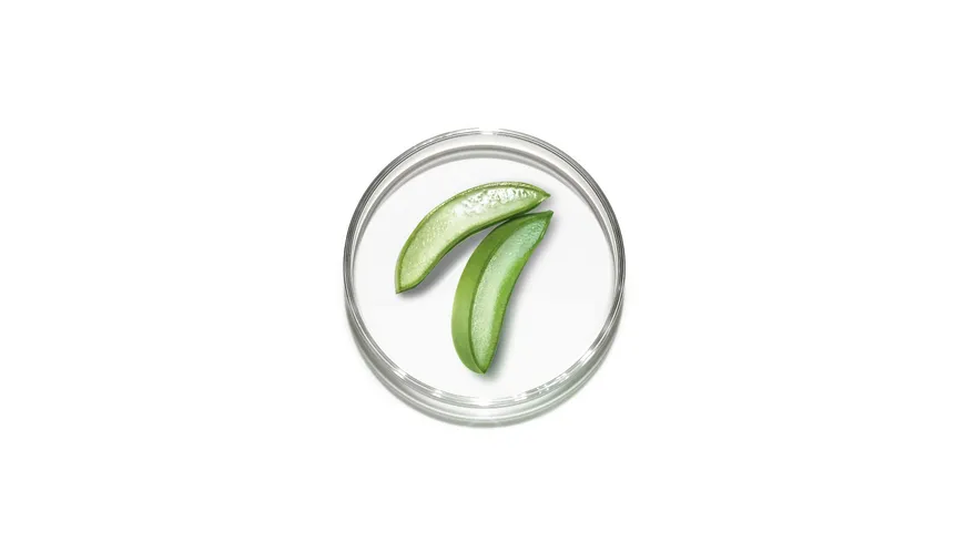 LANCÔME Hydra Zen Glow Anti-Stress Feuchtigkeitsfluid 50 ml