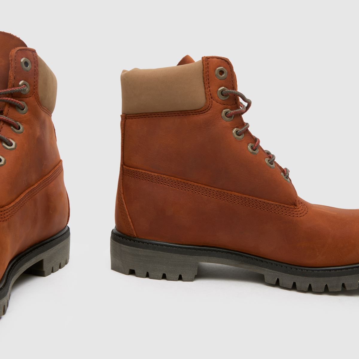 Timberland premium 6-palčni škornji v rjavi barvi