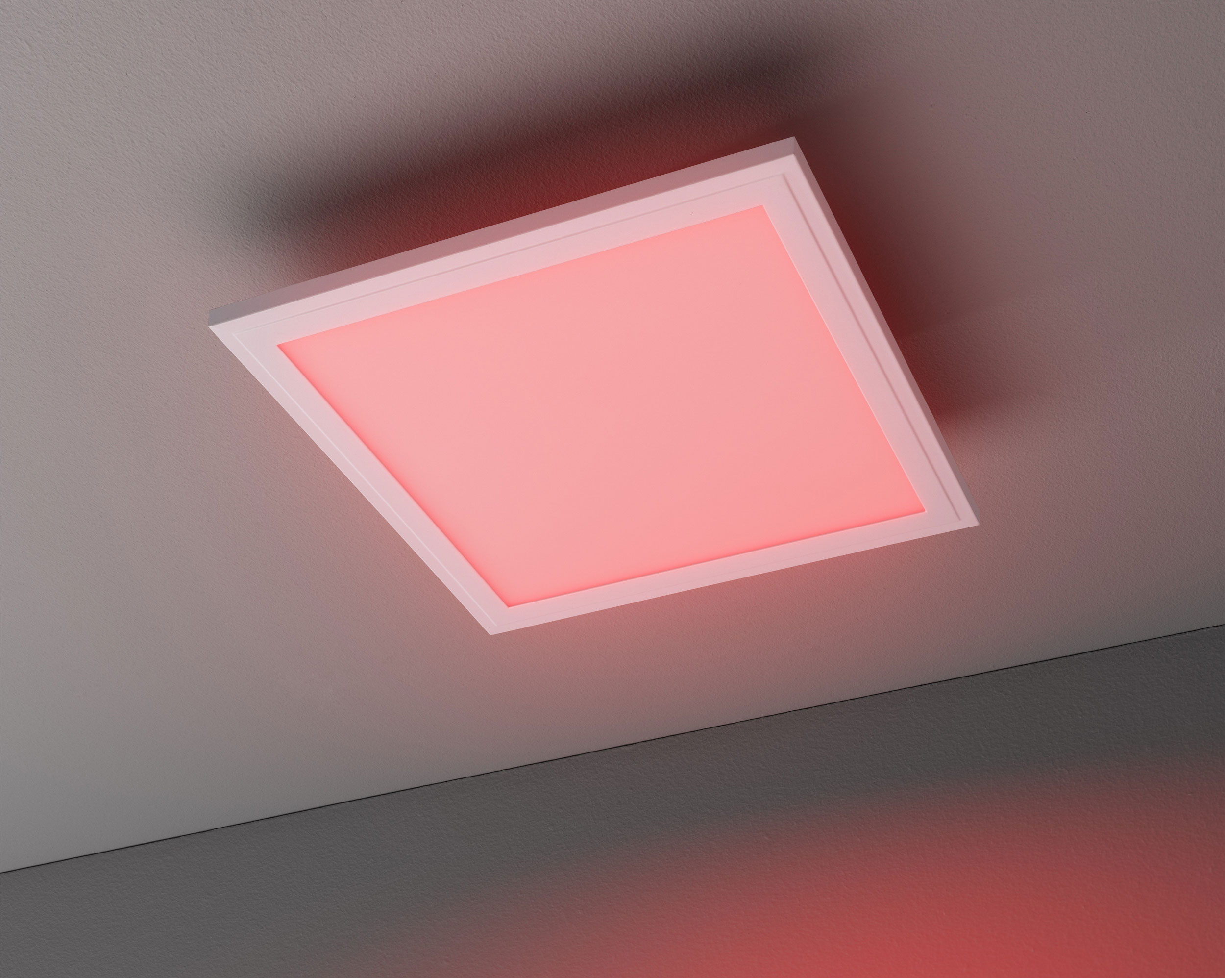 casa NOVALED-Panel 1flg