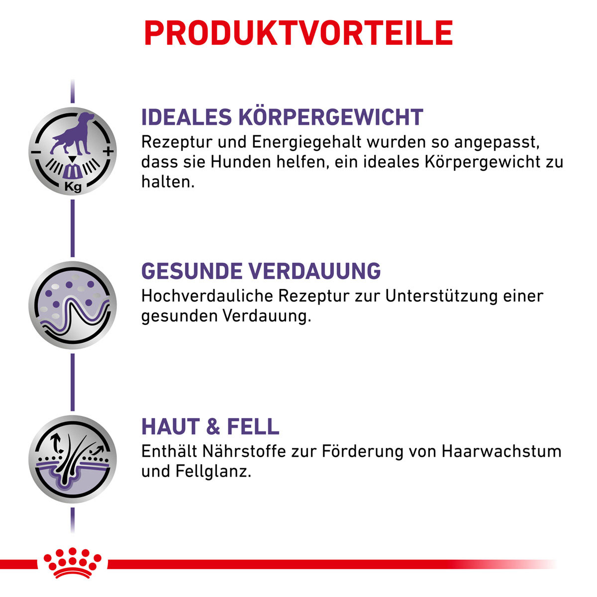 ROYAL CANIN Expert NEUTERED ADULT Nassfutter für Hunde