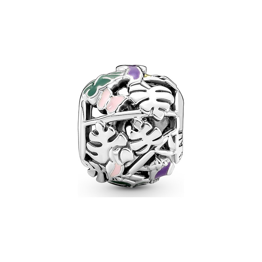Pandora Charm Moments