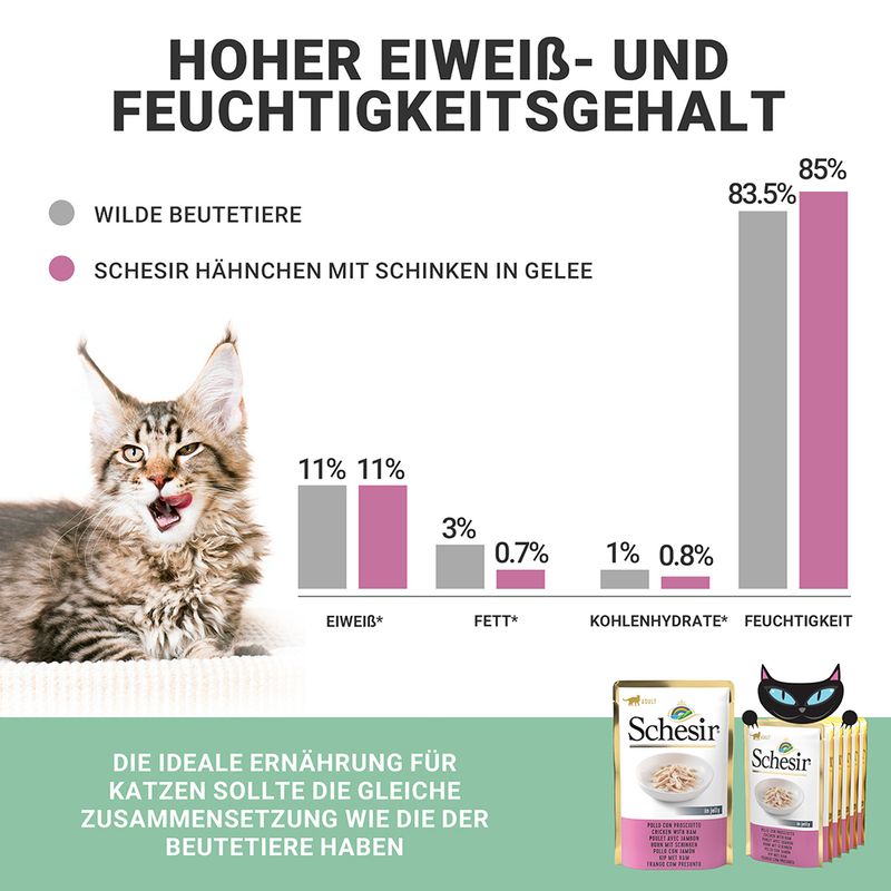 Schesir Jelly Pouch 6 x 85 g zu TOP-Preisen