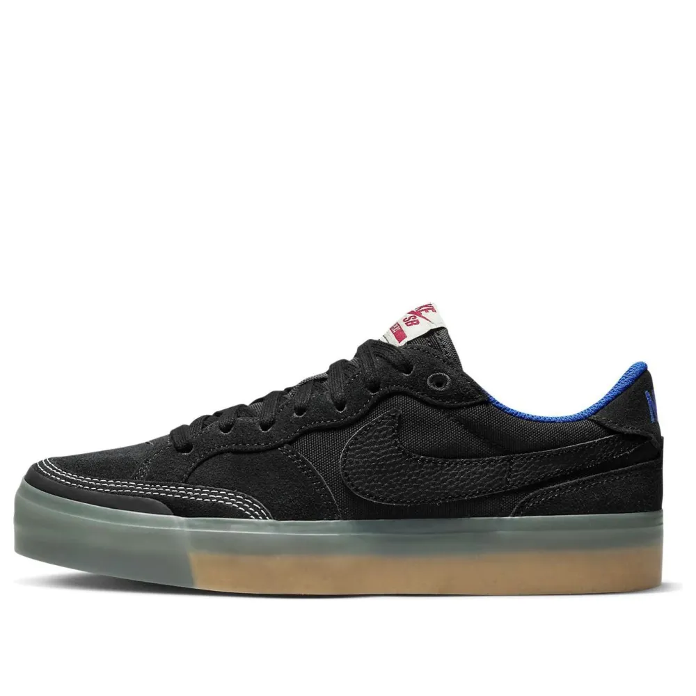 Nike SB Pogo Premium Zoom Plus DV5470-001 / schwarz