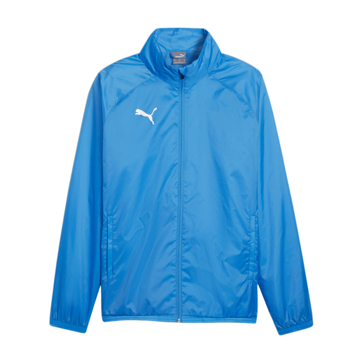 PUMA teamGOAL Allwetterjacke Blau Weiss F02