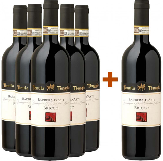 5+1 Paket Bricco Barbera d'Asti DOCG trocken - Tenuta Tenaglia