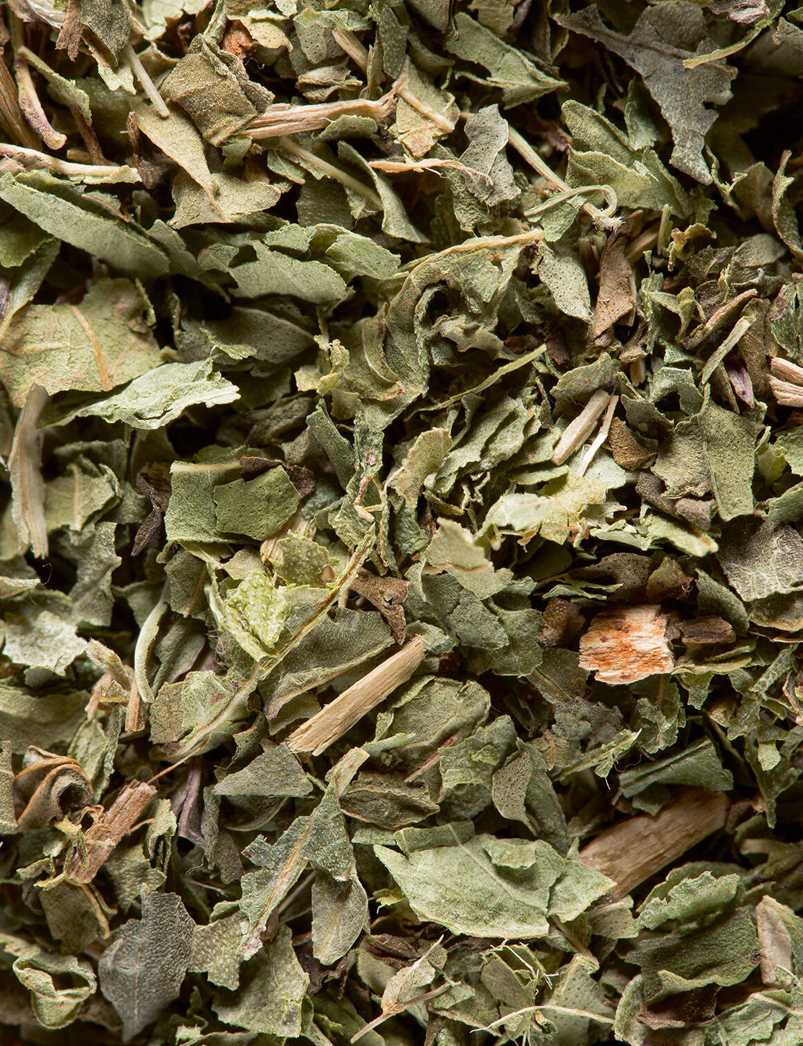 Verveine Menthe poivrée-24 sachets enveloppés