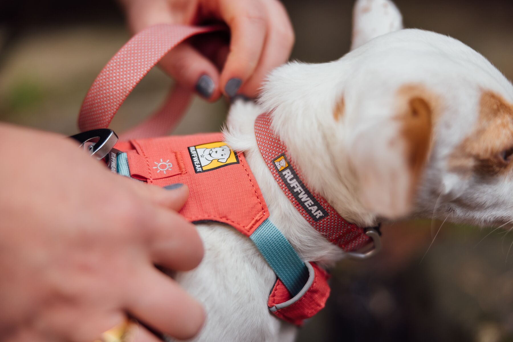 Ruffwear Hundehalsbänder Ruffwear Hi & Light™ Halsband pink L