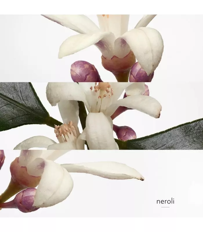 EAU DE NÉROLI DORÉ Eau de Cologne Vaporisateur