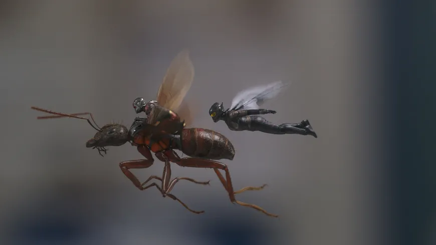 Ant-Man and the Wasp - Steelbook (4K Ultra HD) (+ Blu-ray 2D)