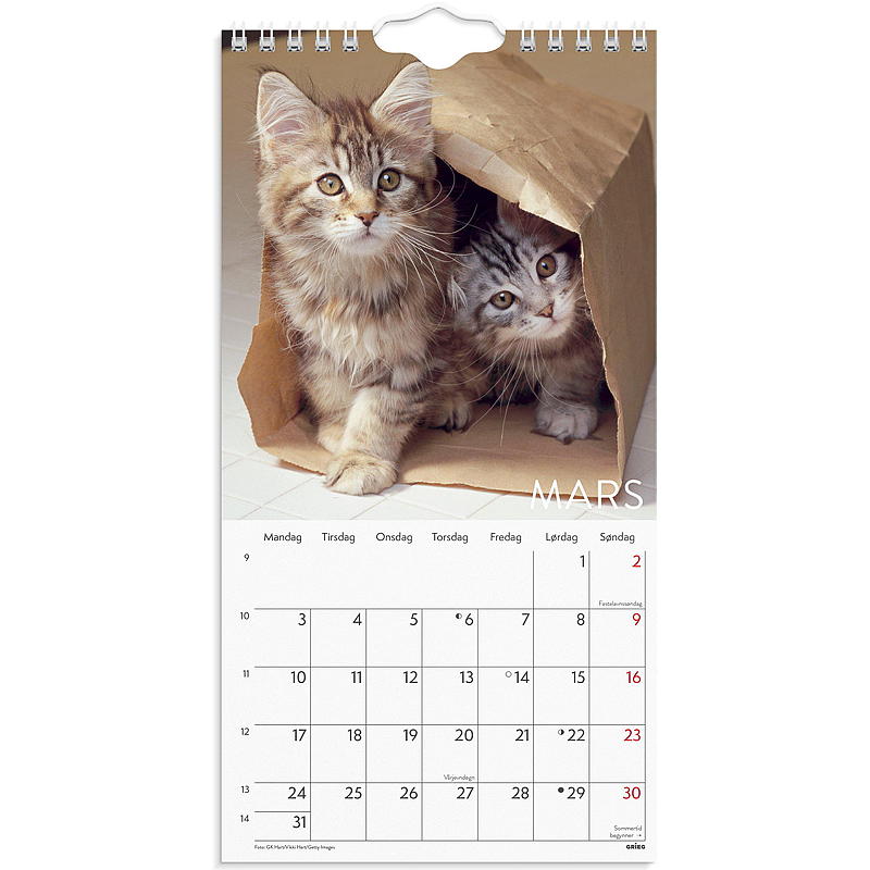 Veggkalender katter mini 2025