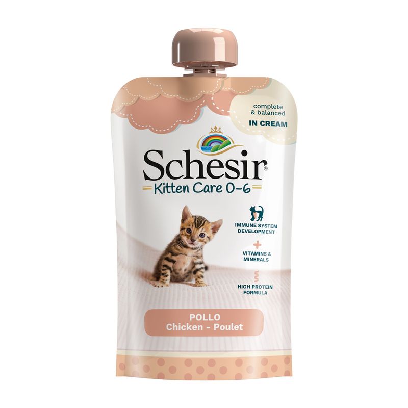 Schesir Kitten in Cream 10 x 150 g zu TOP-Preisen