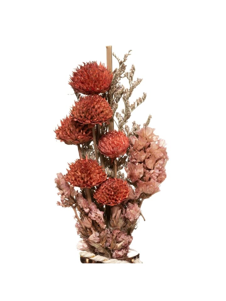 Atmosphera Créateur d'intérieur Trockenblumen in rot günstig kaufen onesize