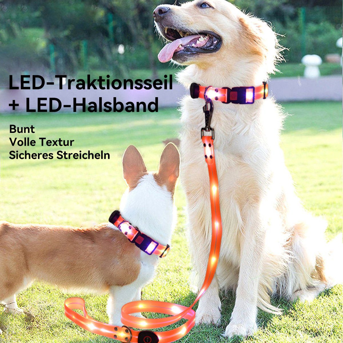 Hikeren Führleine Led-Leine, USB stark und verschleißfest Wasserdichtes Halsband