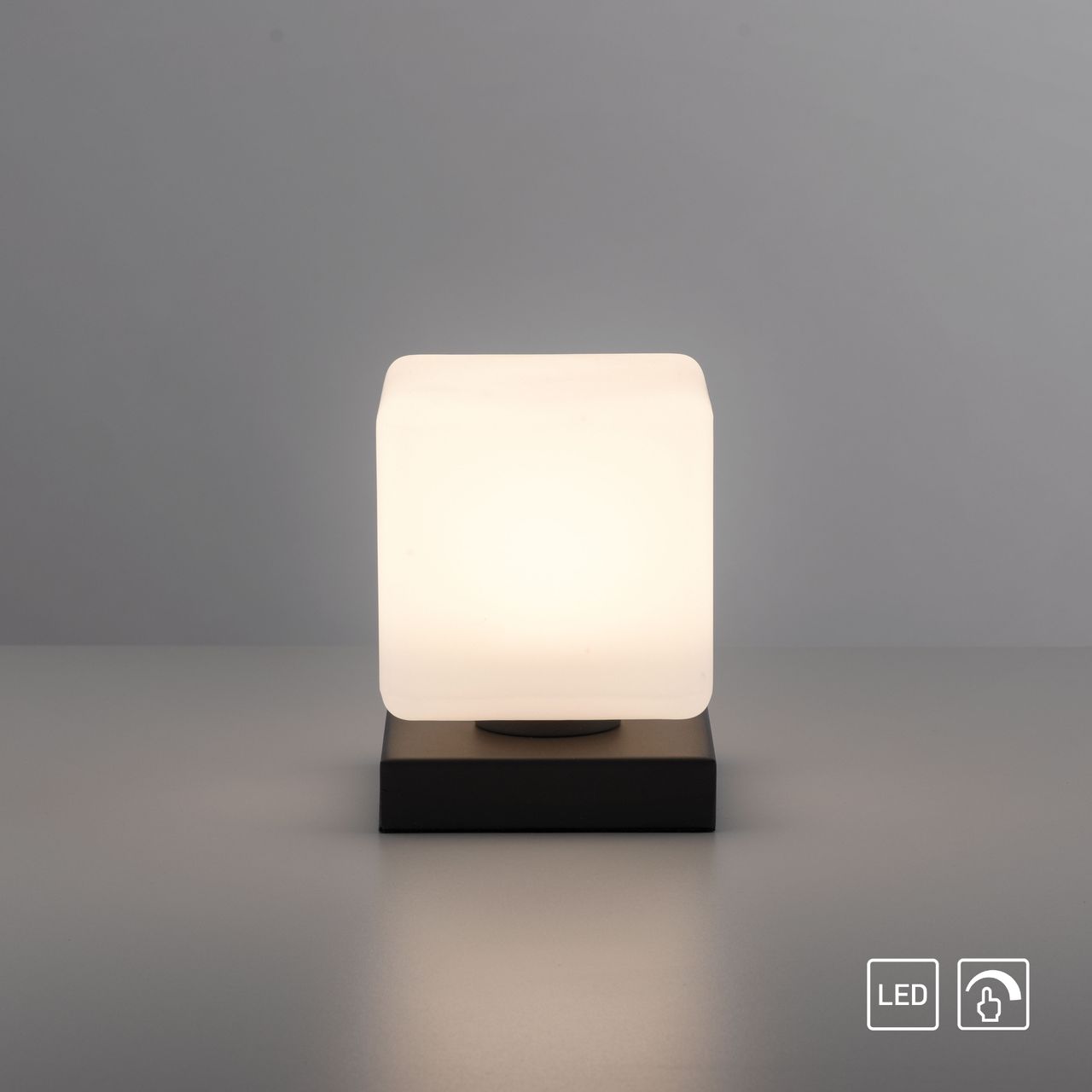 Paul Neuhaus LED Tischleuchte DADOA, 1x LED-Board/5Watt/3000K, Innenleuchte, IP20, 3-Stufen-Touchdimmer