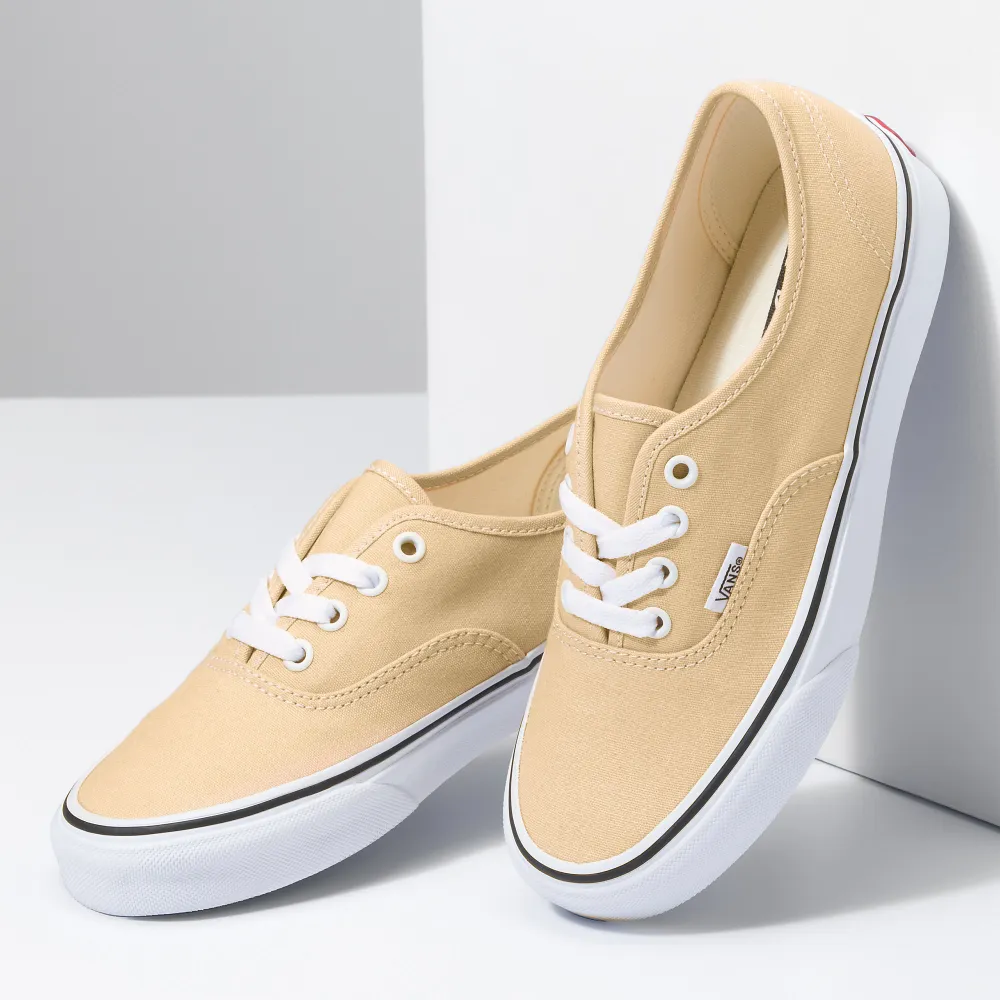 Vans Authentic Theory Color VN0A5KS9BLP / braun