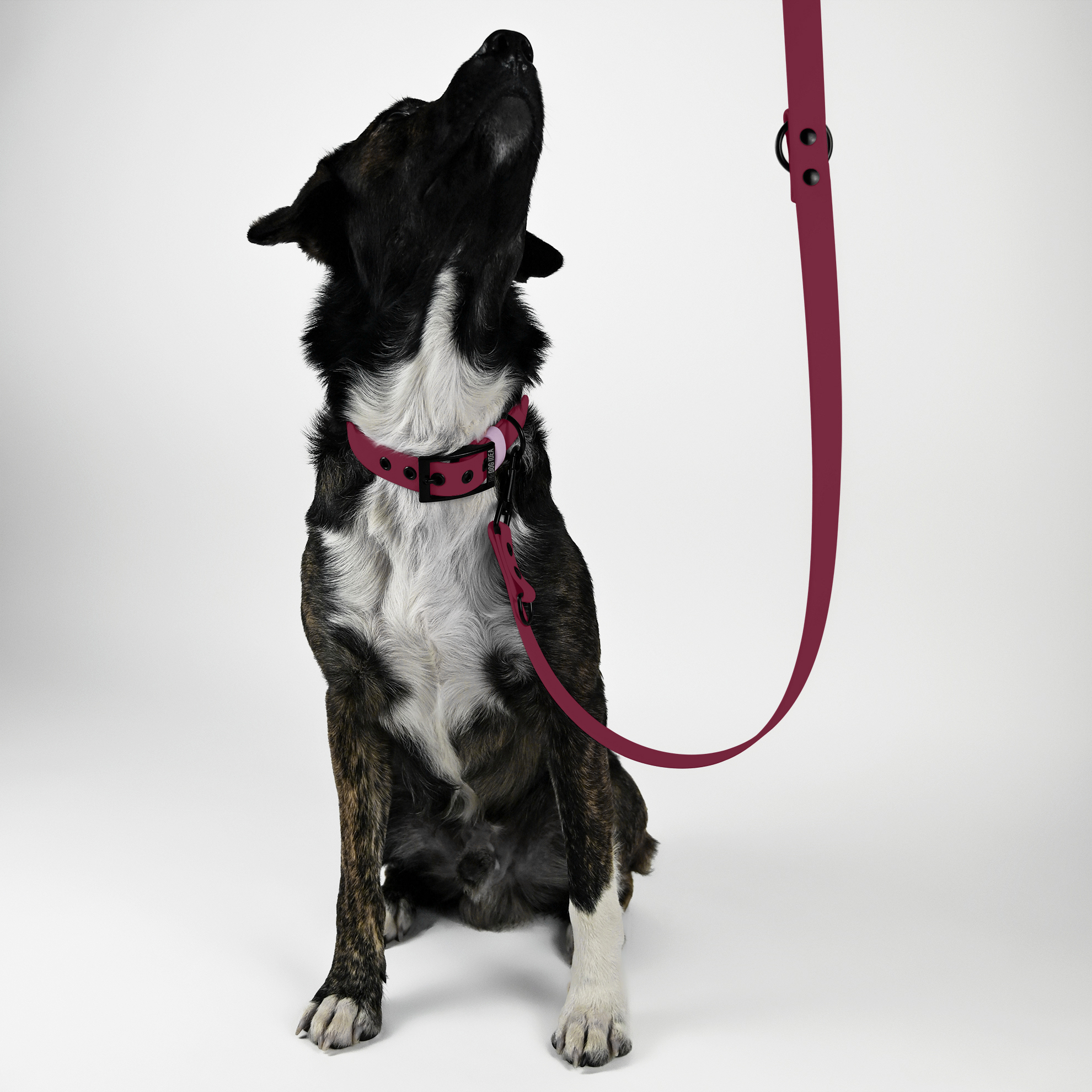 THE DOG IDEA Hundeleinen THE DOG IDEA Biothane Hundeleine Bordeaux