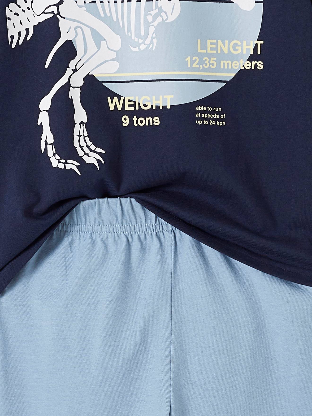 Pyjama dino garçon BASICS bleu ciel