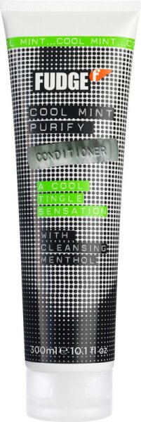 Fudge Cool Mint Purify Conditioner