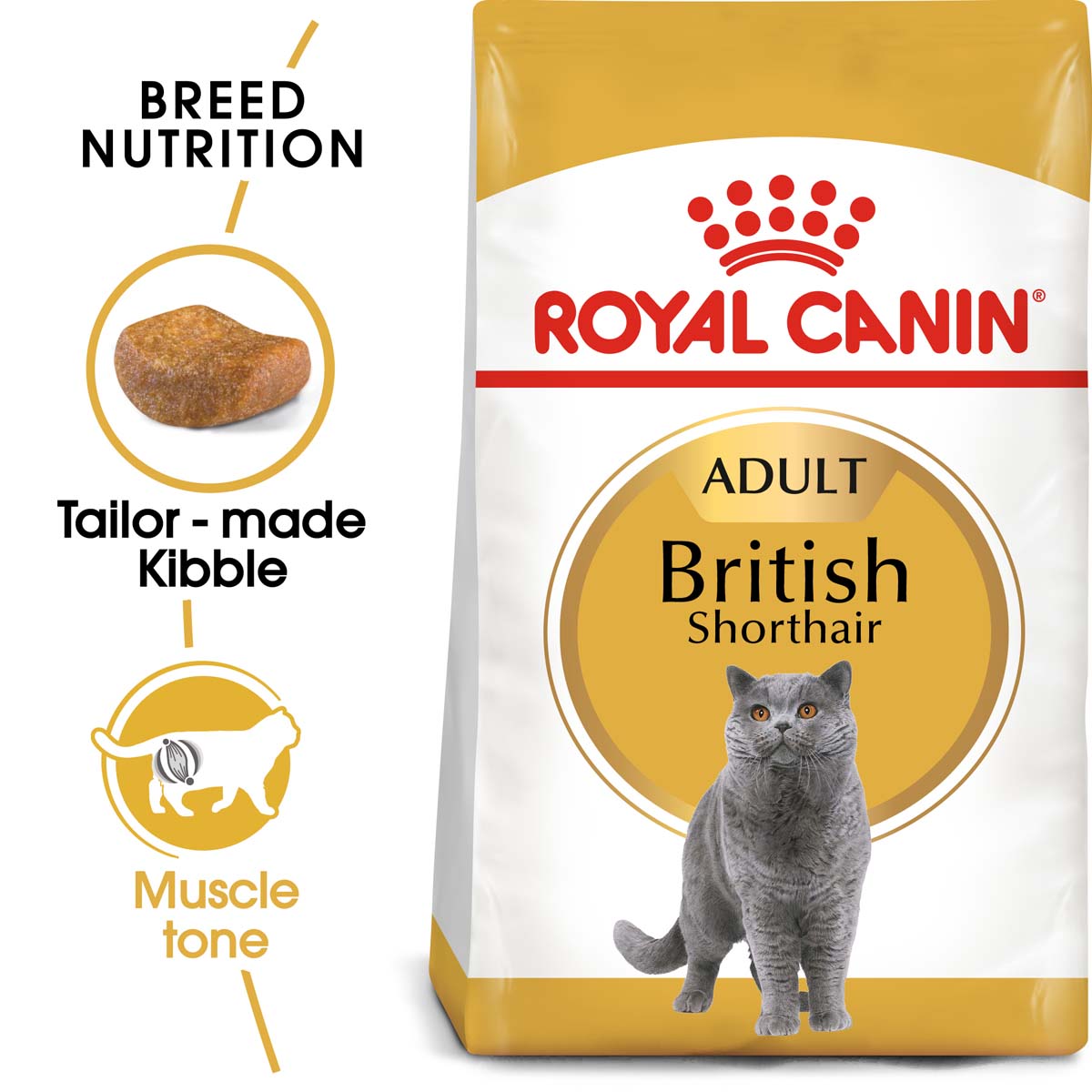 ROYAL CANIN ADULT British Shorthair 2kg + Nassfutter in Soße 12x85g