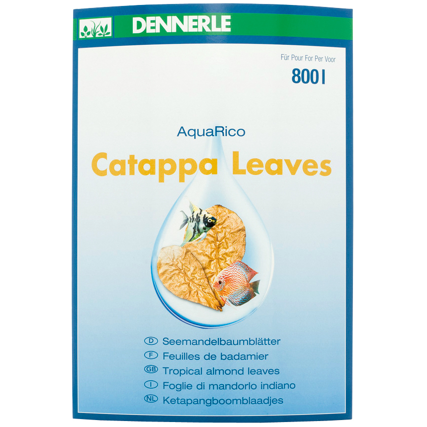 DENNERLE Wasserpflege DENNERLE Catappa Leaves 10Stück