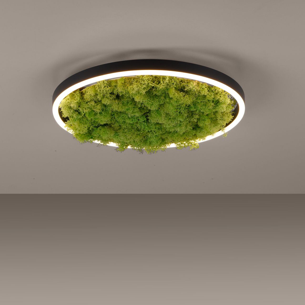 JUST LIGHT LED Deckenleuchte GREEN RITUS, 3-Stufen-Dimmer, echtes Moos, Ø39,3cm