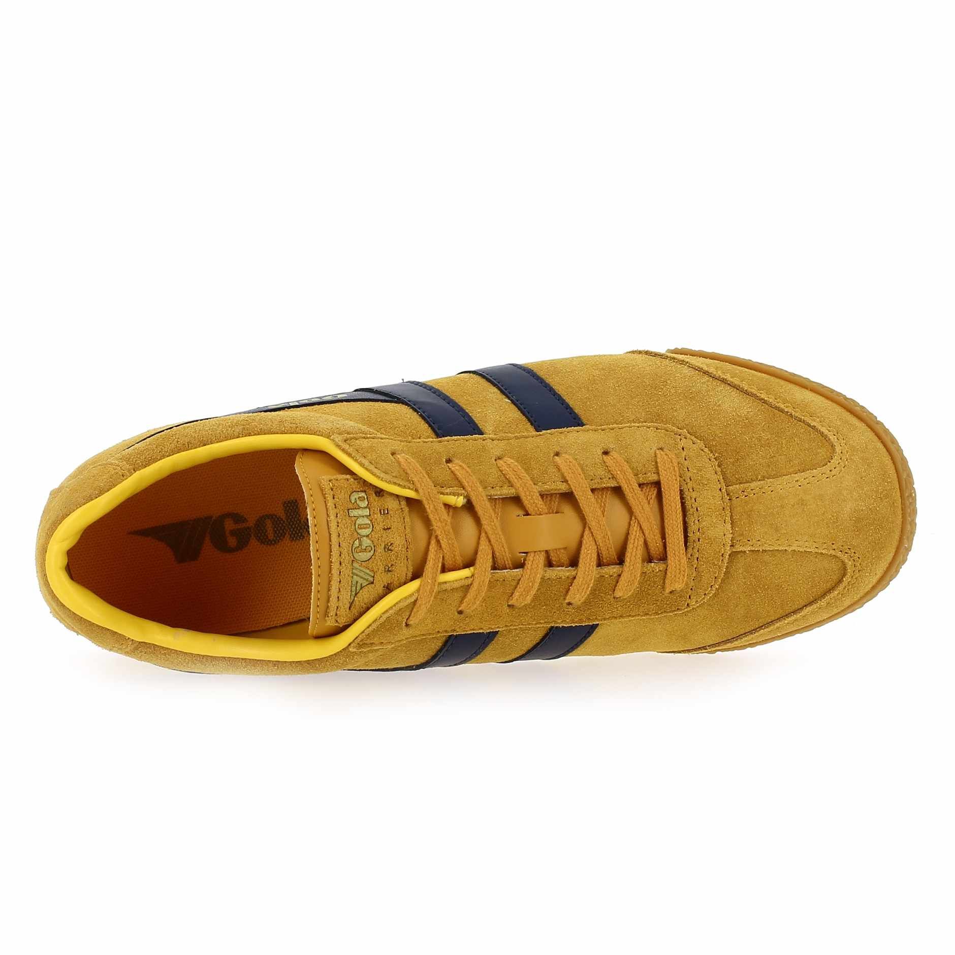 Gola  HARRIER - Jaune Marine