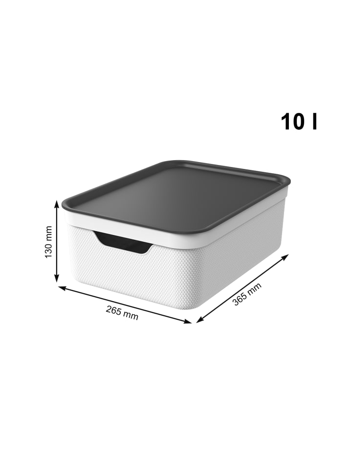 Rotho 3er Set Aufbewahrungsbox mit Deckel 10L JIVE in Mistelweiß günstig kaufen onesize