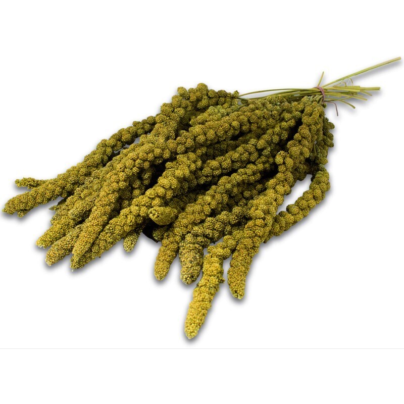 JR Farm Snacks JR Farm gelbe Kolbenhirse 1,5 kg